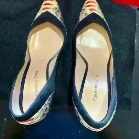 Alexandre Birman Python & Suede Pointy-Toe Pumps - Picture 10 of 11